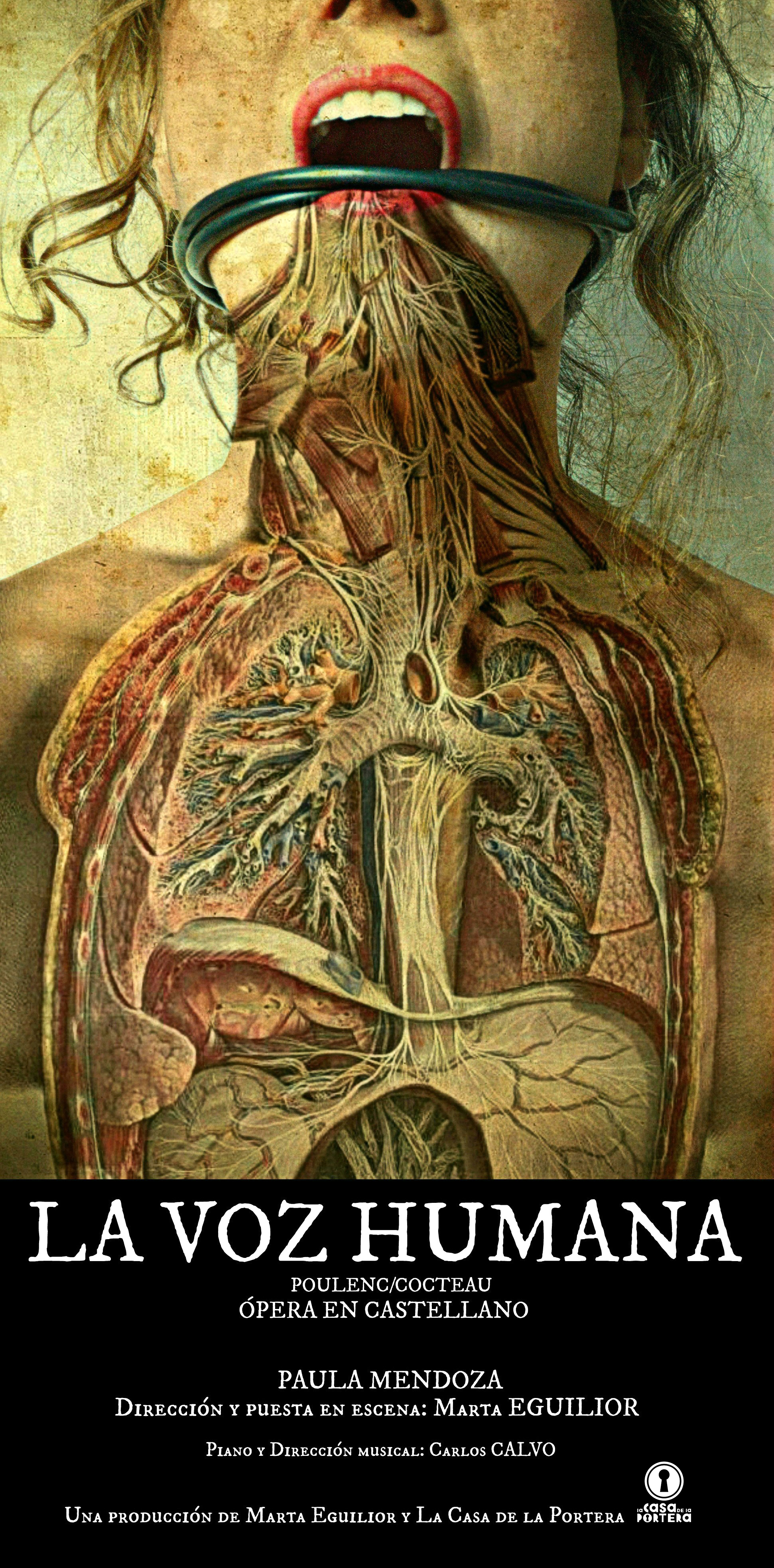 voz_humana_18