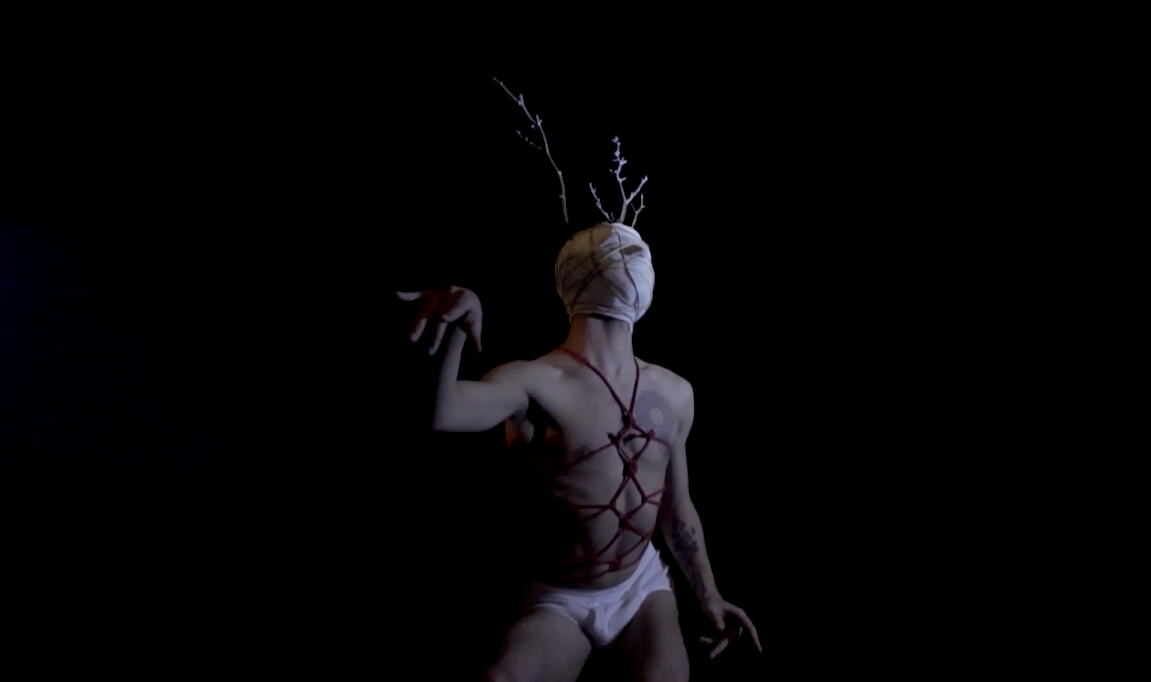 bailarin erwartung opera eguilior