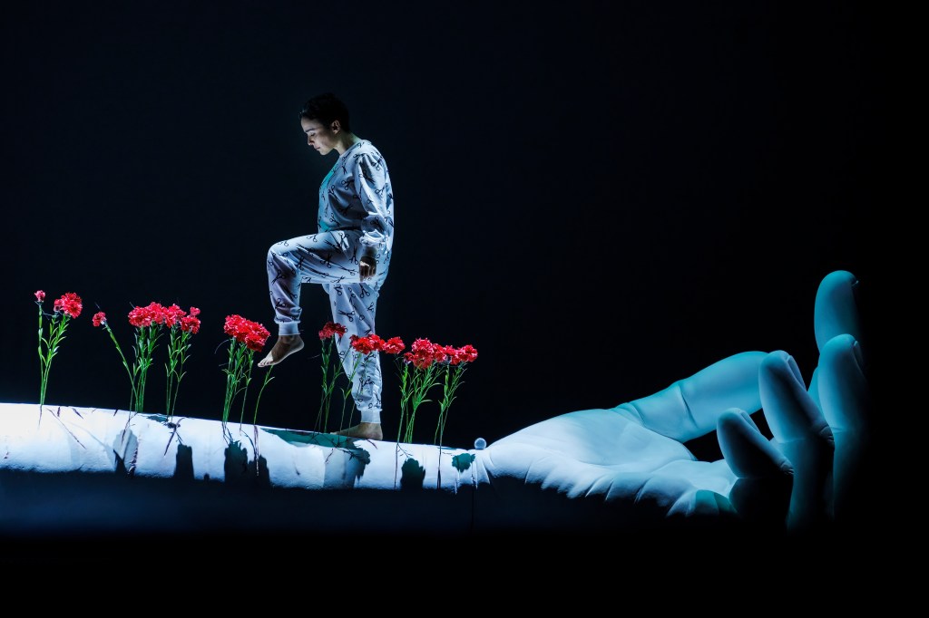 La imagen tiene un atributo ALT vacío; su nombre de archivo es borderland-16.jpg