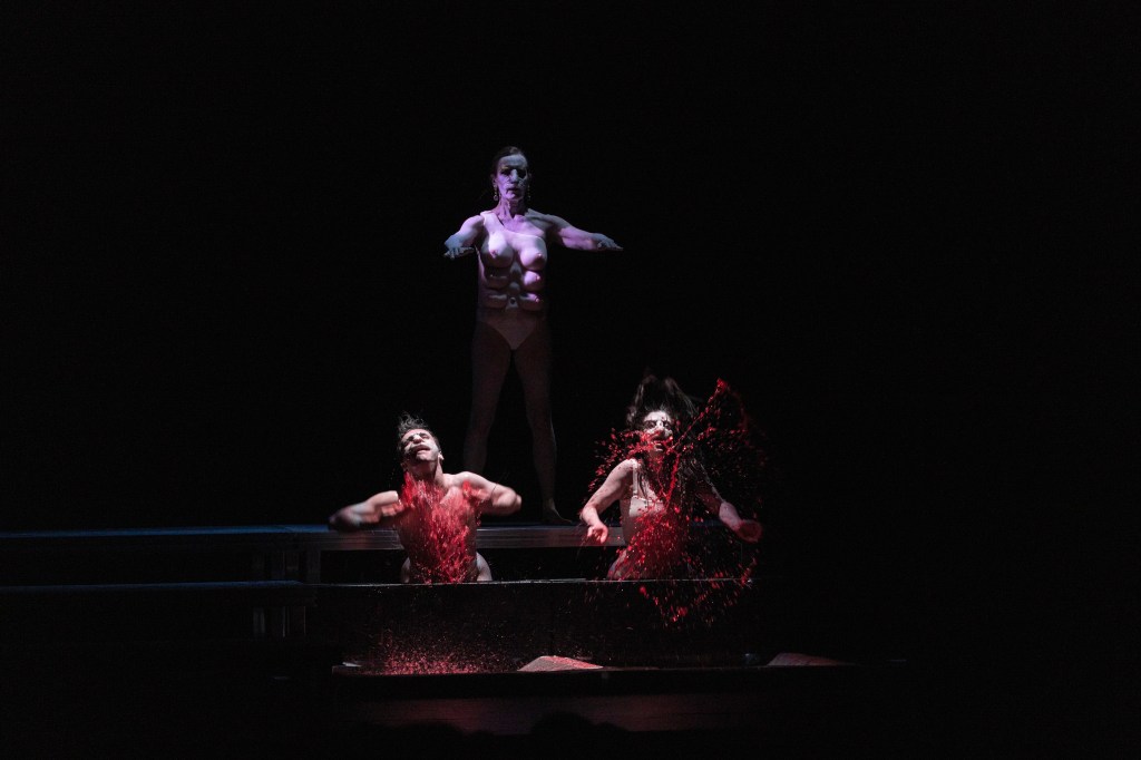 Profundizando en el aullido de Medea